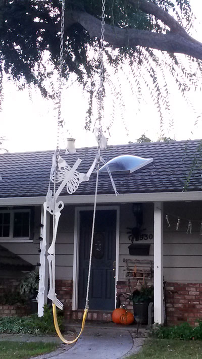 2016-10-29-skelton4