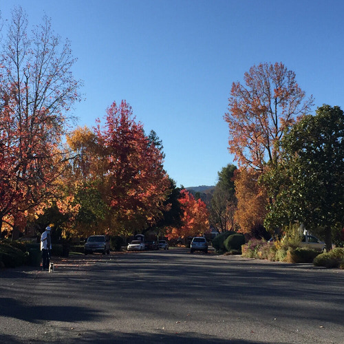 2020-11-25-walk2