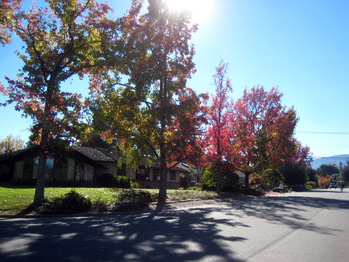 2012-11-05-walk5