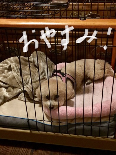 A43FF3E6-2831-4C82-B063-FEB4792A530F