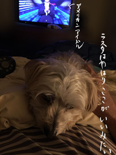 2021-04-23-rasta1