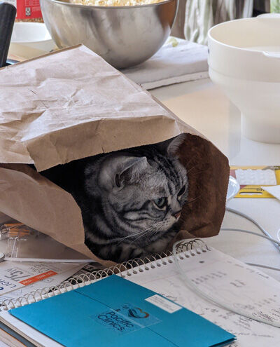 2024-06-11-cat1