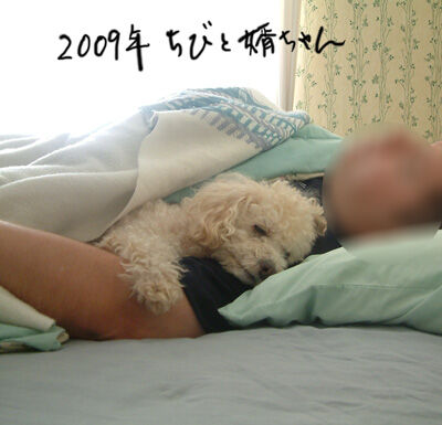 2022-07-23-chibi1