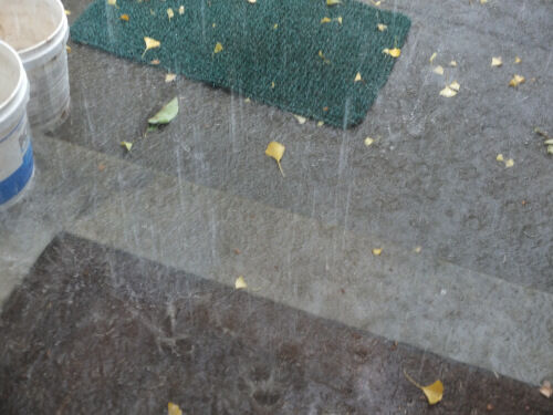 2024-11-11-rain3