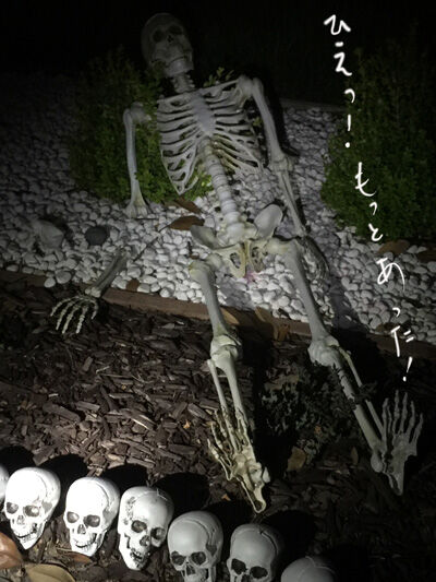 2020-10-14-haloween2