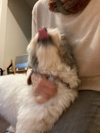 2024-12-23-charlie3