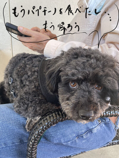2024-03-14-oreo1
