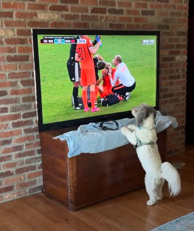 2026-06-29-soccer2