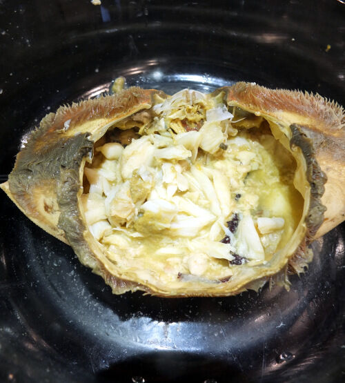 2025-12-14-crab2