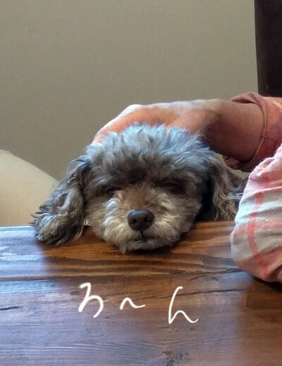 2021-08-17-judy2