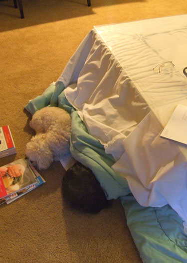 2010_11_28_kotatsu2