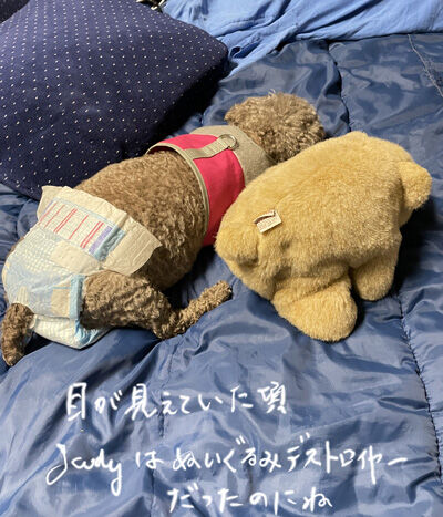 2022-10-28-judy3