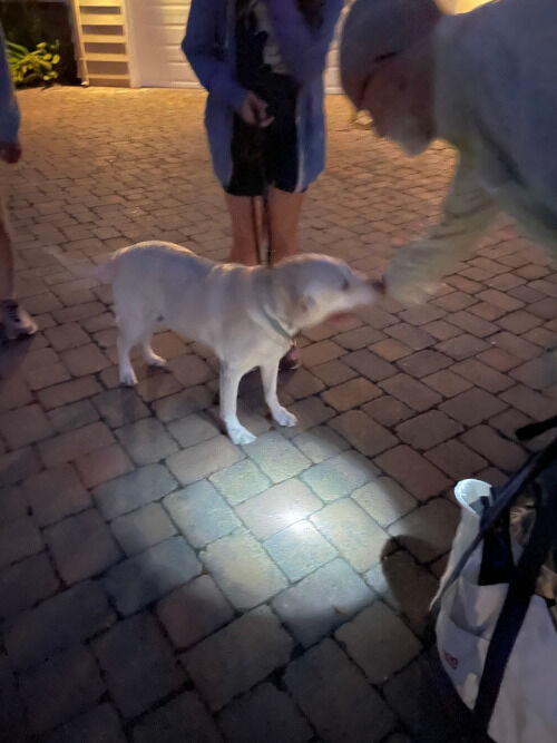 2025-10-19-chrestol2