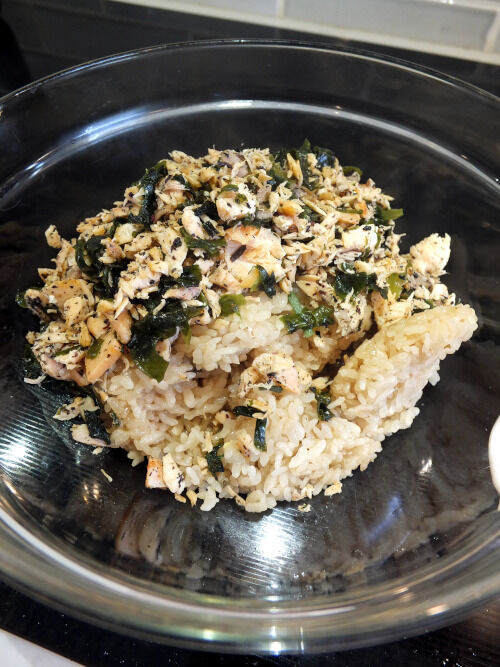 2025-10-12-salmonrice2