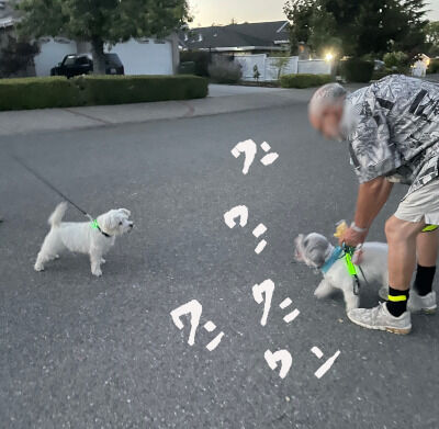 2025-08-15-walkcharlie2