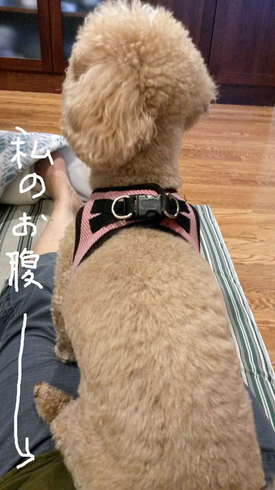 2019-06-12-an1