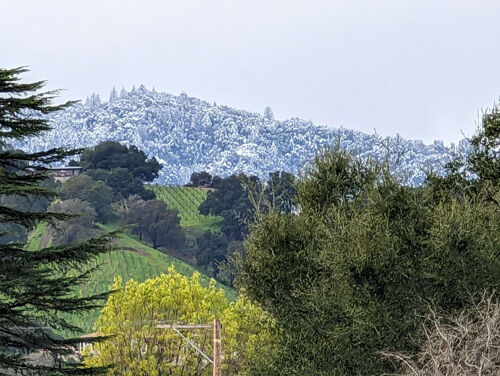 2023-02-24-snow2