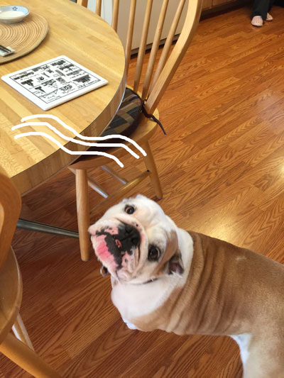 2019-01-01-bull3