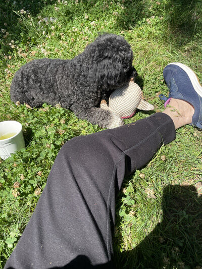 2023-07-08-oreo3