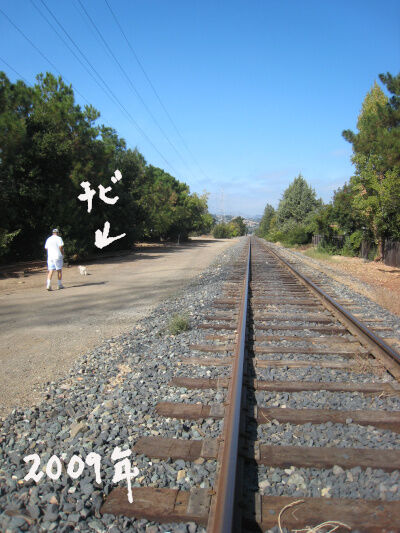 2025-07-29-railroad5