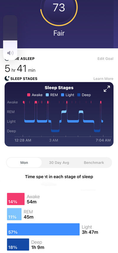 2023-02-09-fitbit2