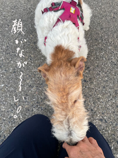 2025-07-17-walk2