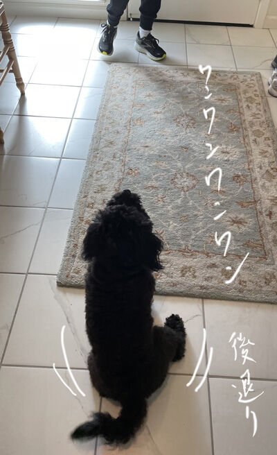 2022-02-11-oreo2