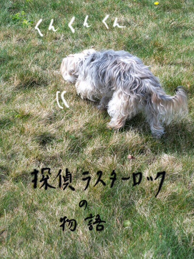 2021-03-12-rasta1