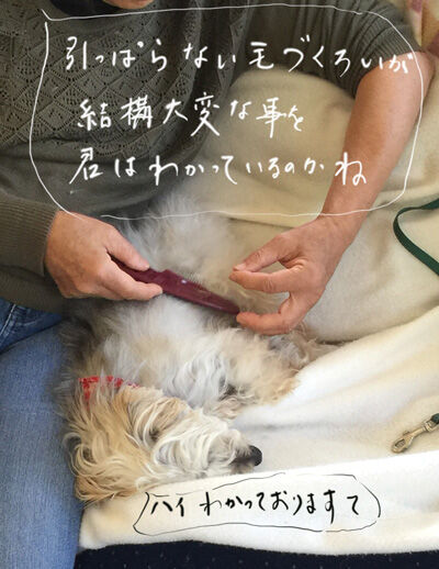 2021-05-30-rasta1