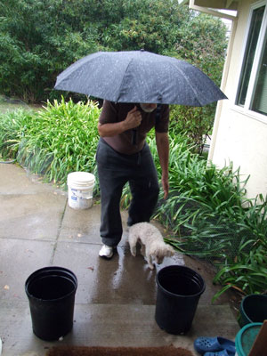 2014-02-27-chibi6jpg