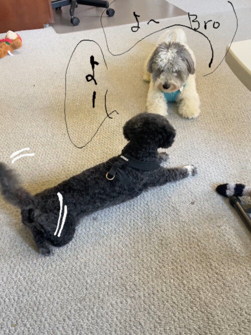 2026-01-09-charlieoreo