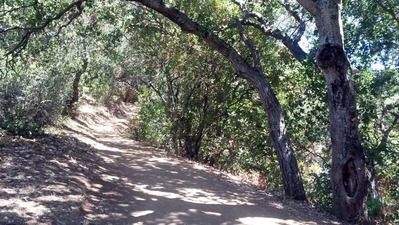 2014-06-25-trail