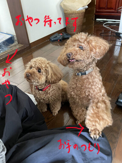2023-05-27-choco1