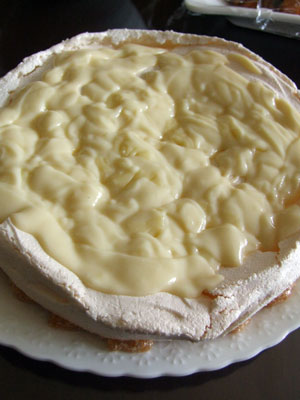 2013-12-02-pavlova3