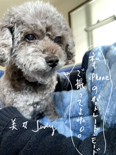 2022-05-22-dog3