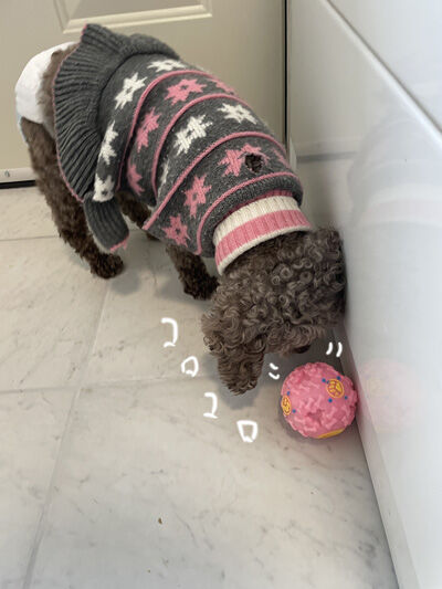 2023-01-03-judy1