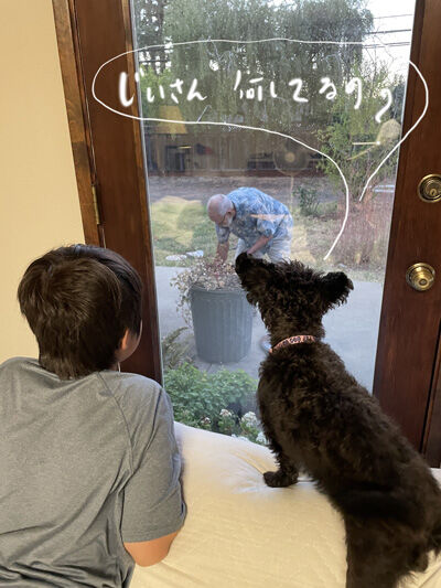 2024-07-08-kiki1