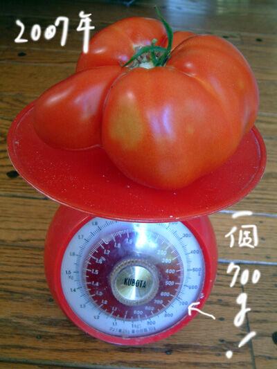 2021-02-28-tomato5