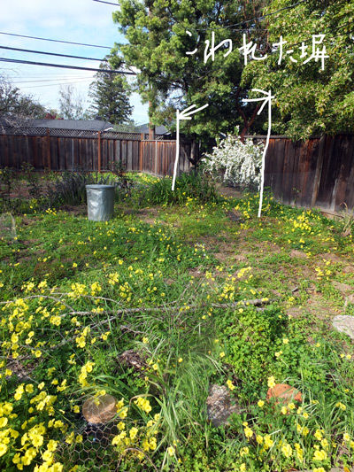 2019-04-07-flowers3