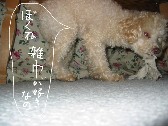 2018-10-19-chibi3jpg