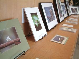 展示会