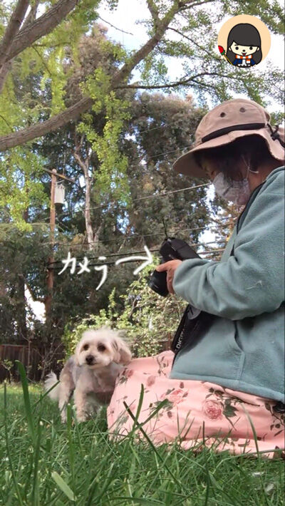 2020-05-23-rasta1