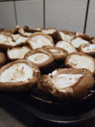 2012_03_23_shiitake
