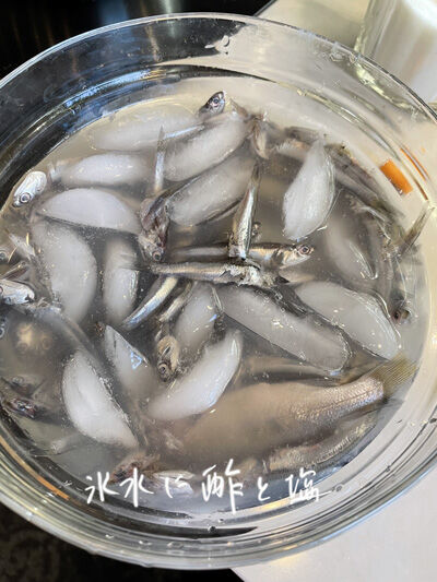 2021-11-13-fish1