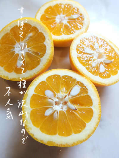 2022-02-01-orange1