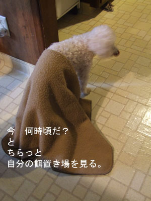 2013-01-05-chibistanding