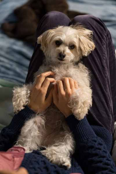 2019-12-03-rasta2