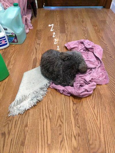 2021-07-12-judy3