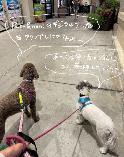 2024-08-23-dogs1