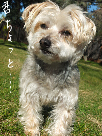 2021-02-05-rasta1